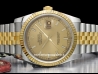 Rolex Datejust  Watch  126233